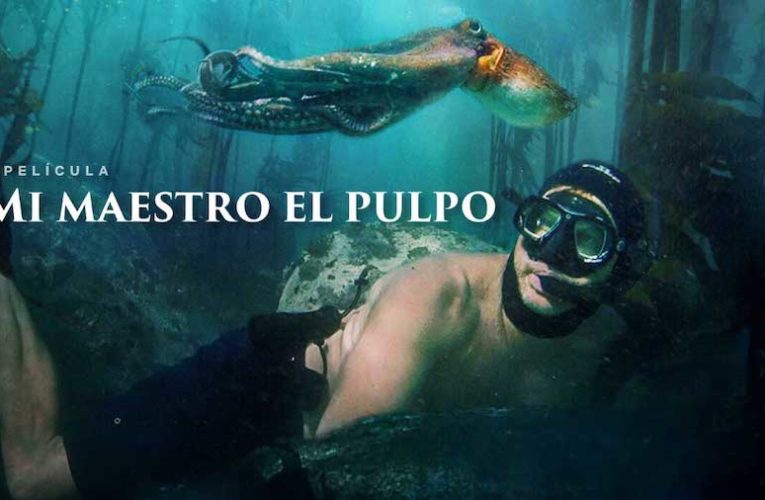 Mi maestro el Pulpo