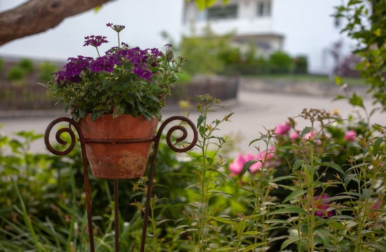 La  navidad y el patio de la abuela