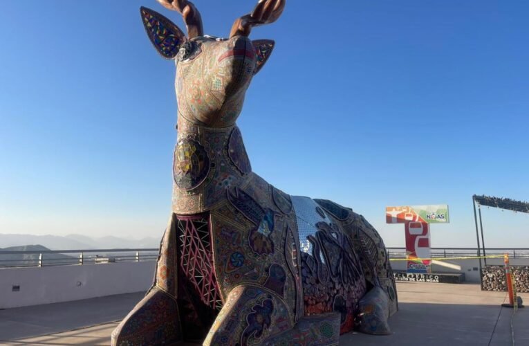 Puerto Noas recibe a la venada azul Kauyumari