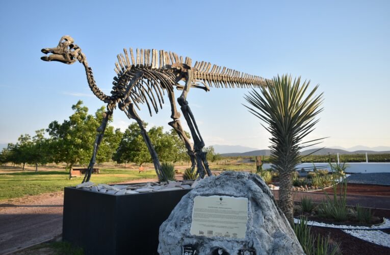 Vacaciones en los pueblos mágicos de Coahuila