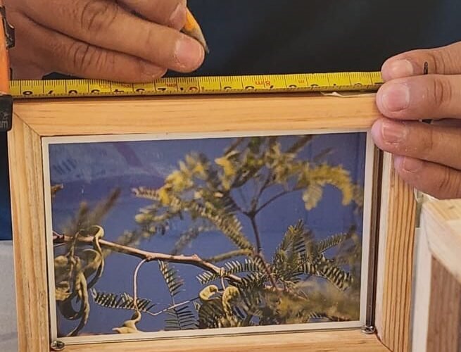 Galería del CAN presenta exposición dentro de Fotoseptiembre 2026